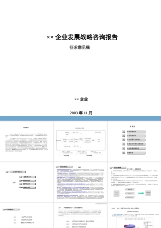 ××企业发展战略咨询报告