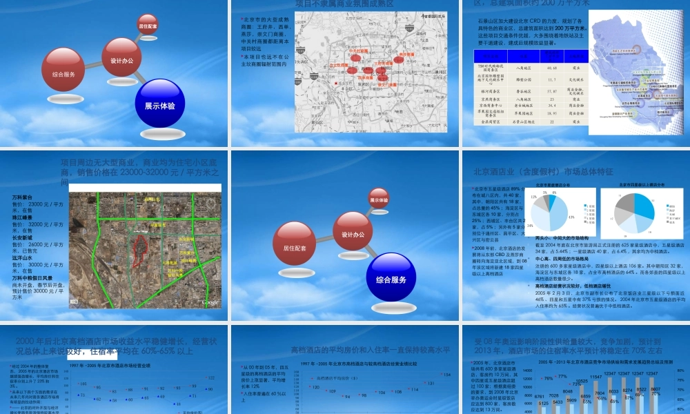 世联-北京市首钢海尔文化创意产业园项目报告及相关市场资料-30PPT