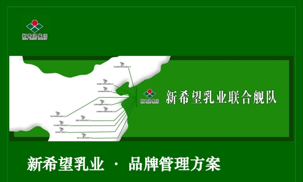 ××乳业品牌管理方案