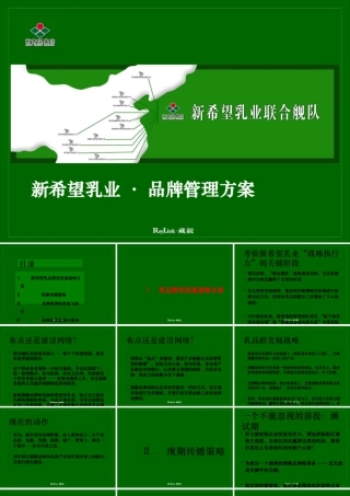 ××乳业品牌管理方案