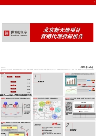 世联-北京-新天地项目项目营销代理投标报告XXXX