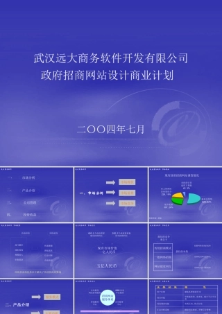 ××软件开发有限公司政府招商网站设计商业计划(1)