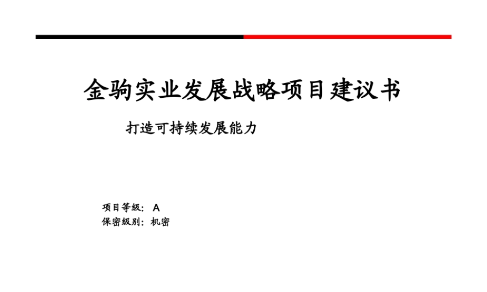 ××实业发展战略项目建议书（PPT 61页）
