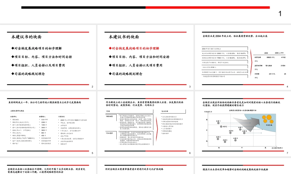 ××实业发展战略项目建议书（PPT 61页）