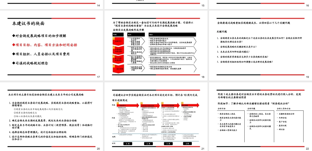 ××实业发展战略项目建议书（PPT 61页）