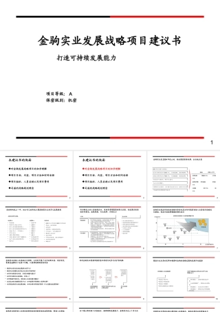 ××实业发展战略项目建议书（PPT 61页）