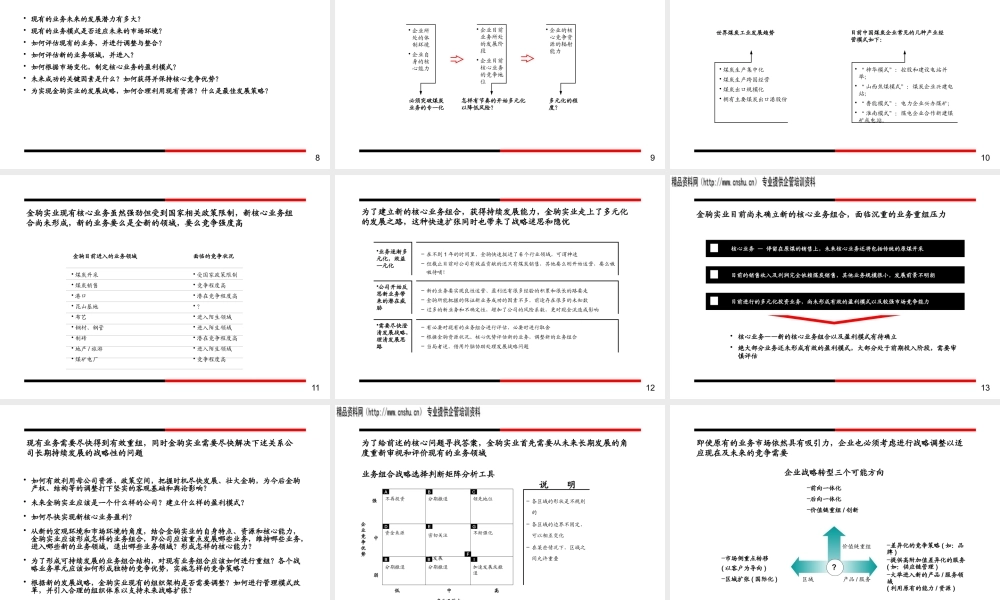 ××实业发展战略项目建议书（PPT61页）