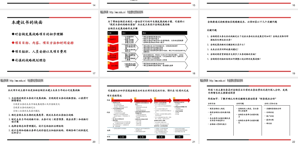 ××实业发展战略项目建议书（PPT61页）