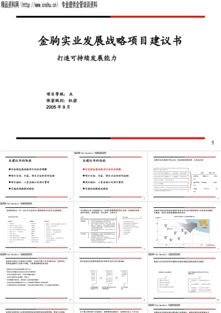 ××实业发展战略项目建议书（PPT61页）