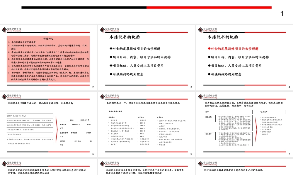××实业发展战略项目建议书