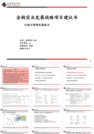 ××实业发展战略项目建议书