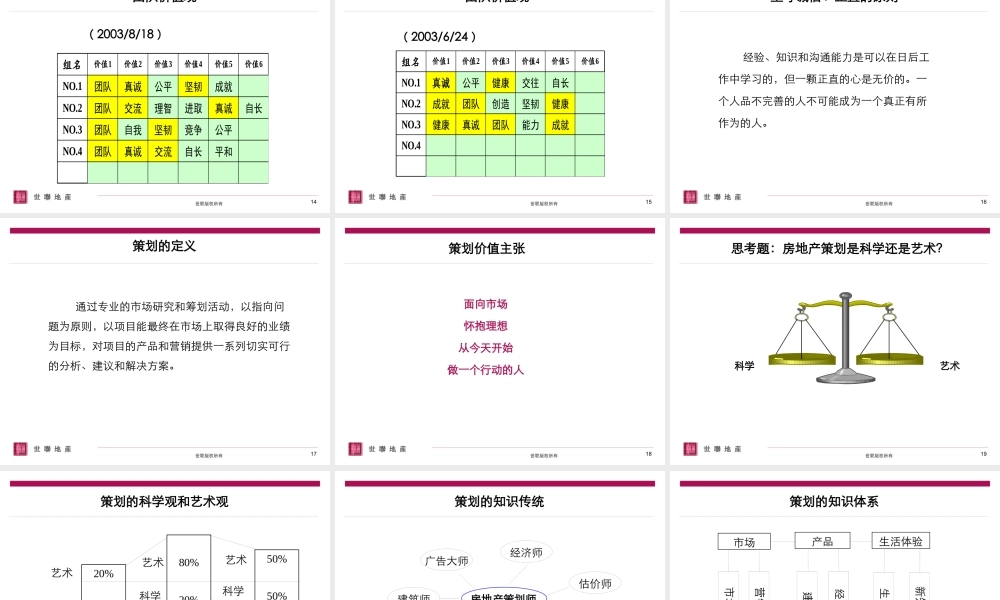 世联-策划在世联中位置--myproject2008