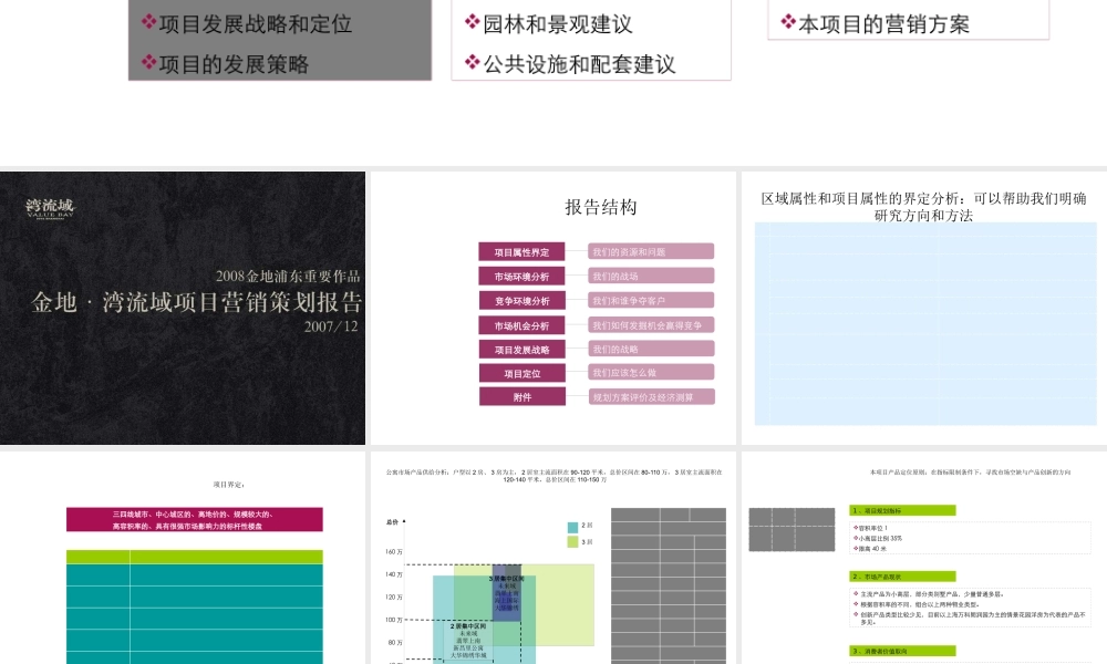 世联产品定位模板