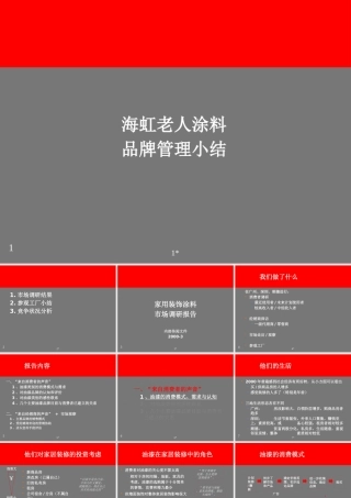 ××涂料品牌管理小结