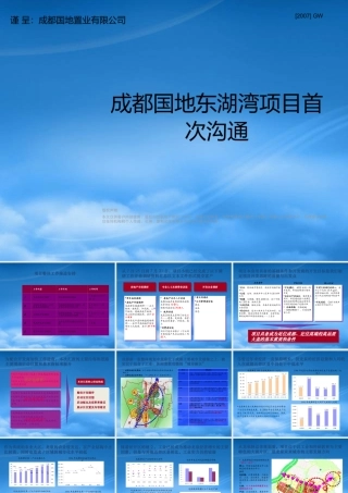 世联-成都龙泉5200亩项目整体定位