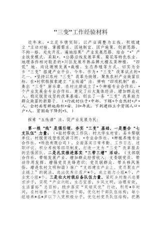 _三变_工作经验材料