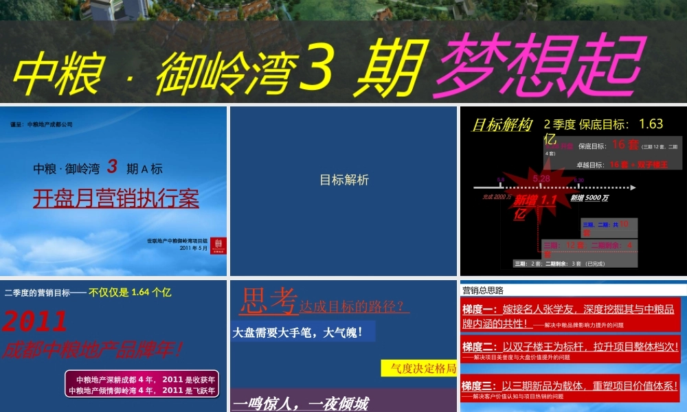世联成都中粮御岭湾项目三期开盘月营销执行案