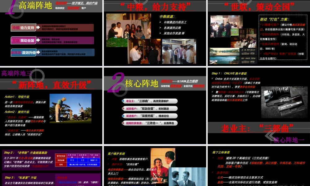 世联成都中粮御岭湾项目三期开盘月营销执行案