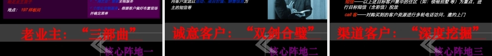 世联成都中粮御岭湾项目三期开盘月营销执行案