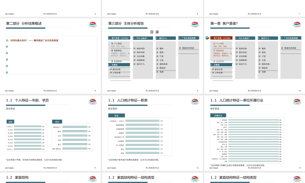 ××项目成交客户分析报告模板