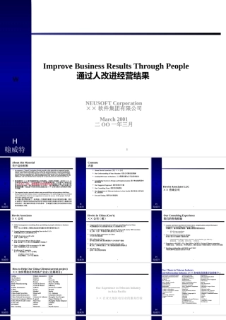 ××项目建议书（PPT 77页）