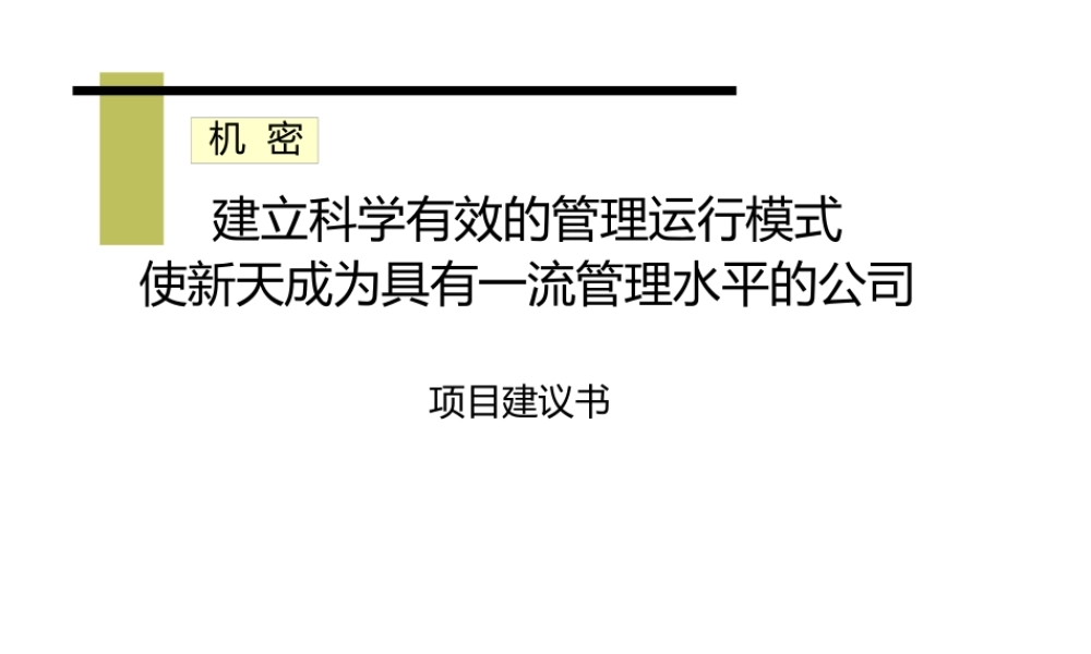××项目建议书（PPT 87页）
