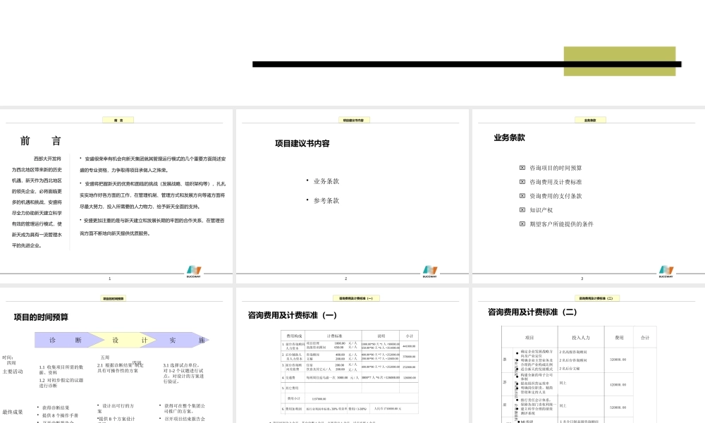 ××项目建议书（PPT 87页）