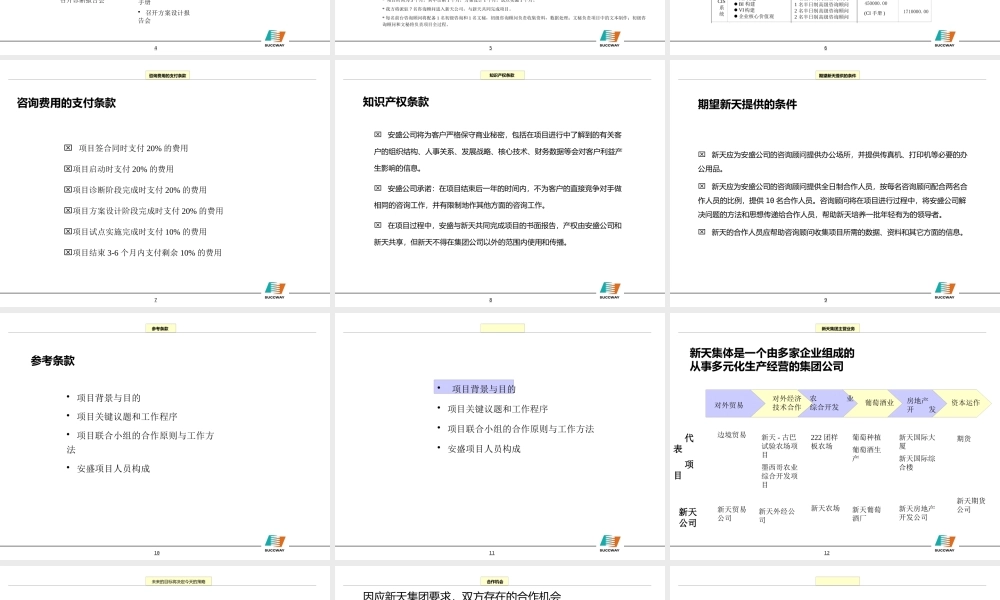 ××项目建议书（PPT 87页）
