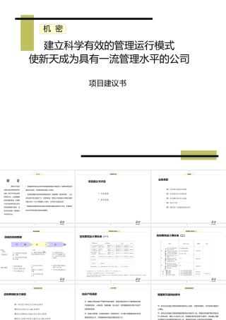 ××项目建议书（PPT 87页）