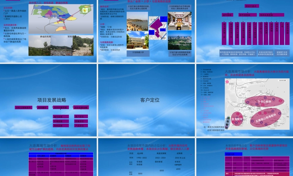 世联-大连亿达国际新城四期项目_整体定位报告_62PPT