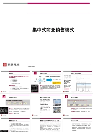 世联-大型集中式商业销售模式