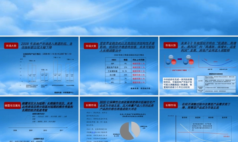 世联-淡市下的操盘战略思考-14PPT
