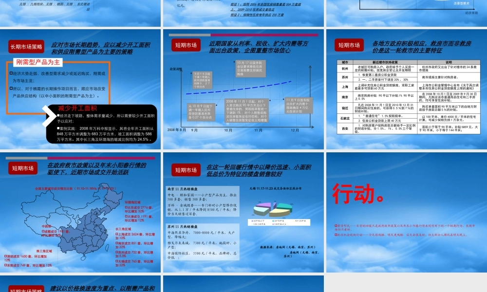 世联-淡市下的操盘战略思考-14PPT