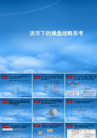 世联-淡市下的操盘战略思考-14PPT