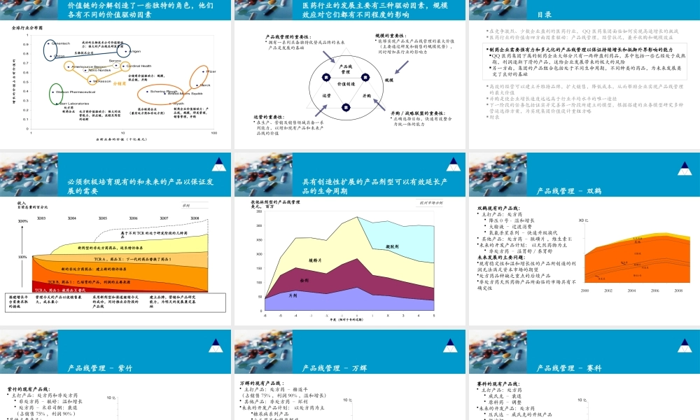 ××医药集团有限责任公司战略咨询项目中期报告