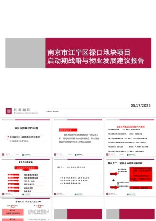 世联地产南京市江宁区禄口地块项目启动期战略与物业发展建议报告(118