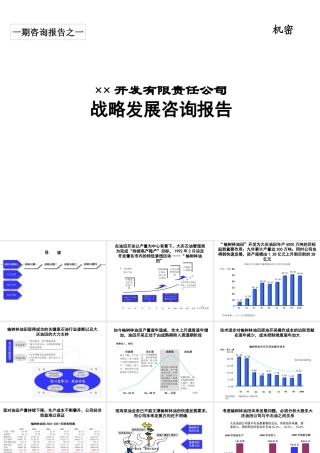 ××油田公司战略发展咨询报告