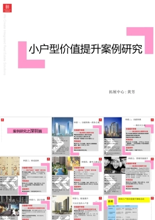 世联地产-小户型价值提升案例研究-19PPT