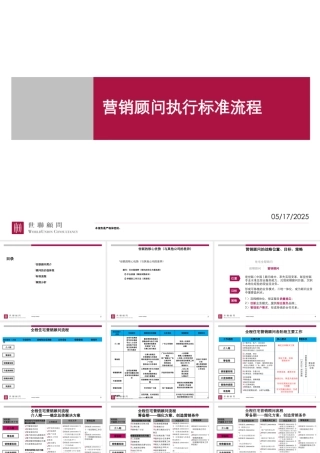 世联地产-营销顾问标准执行流程
