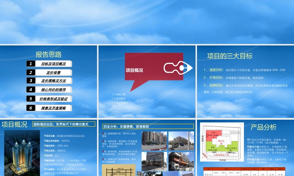 世联东方银座公馆价格策略报告