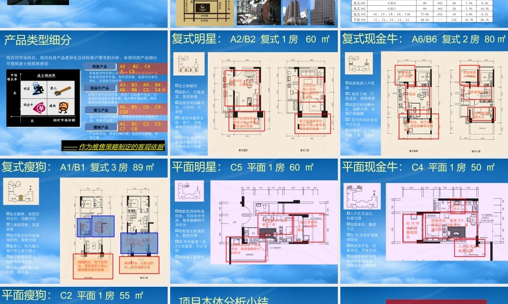 世联东方银座公馆价格策略报告