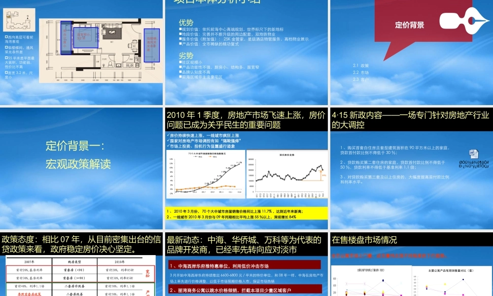 世联东方银座公馆价格策略报告