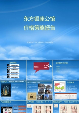 世联东方银座公馆价格策略报告