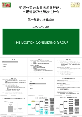 ××战略营运组织规划(1)