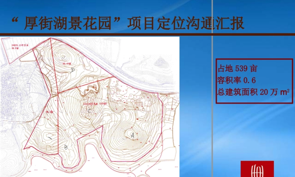 世联-东莞厚街湖景花园项目定位报告89页