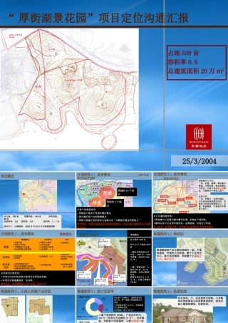 世联-东莞厚街湖景花园项目定位报告89页