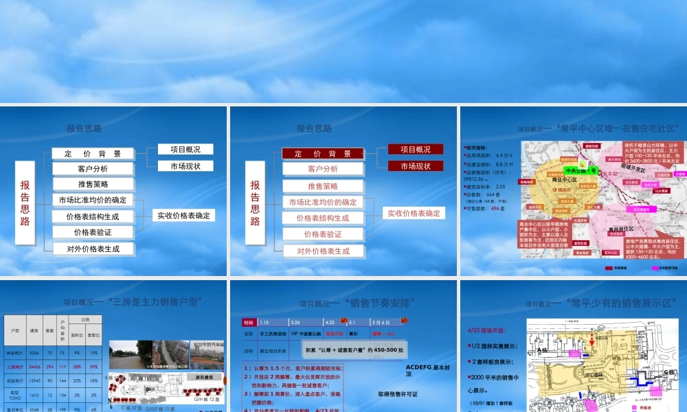 世联-东莞中央公园1号价格策略报告-57PPT
