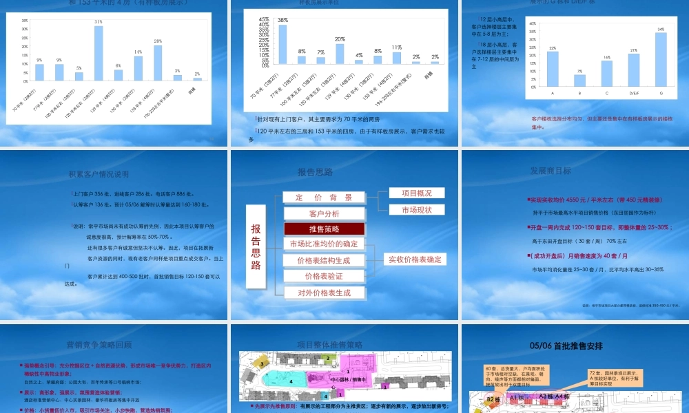 世联-东莞中央公园1号价格策略报告-57PPT