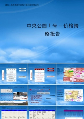 世联-东莞中央公园1号价格策略报告-57PPT