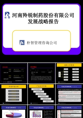 ××制药股份有限公司发展战略报告（PPT 71页）